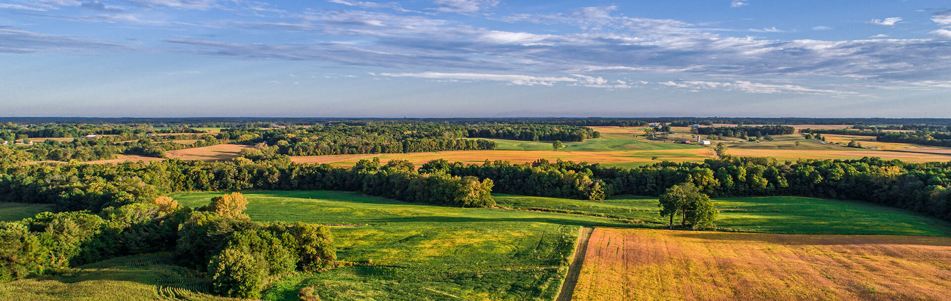 sky and fields